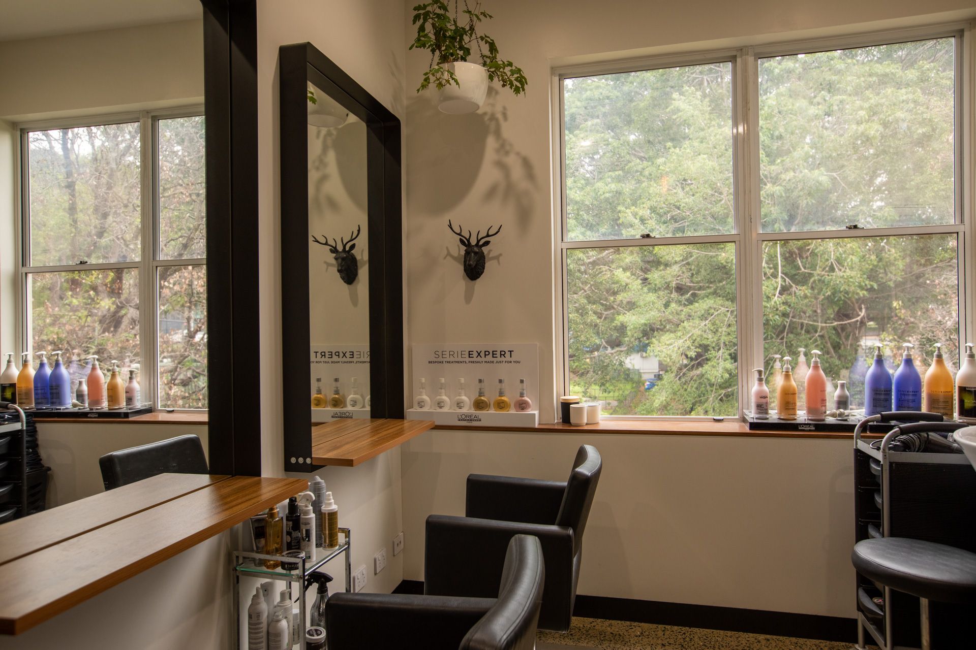 Freedom Suites Paddington interior, view 7